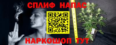 шишки Коммунар