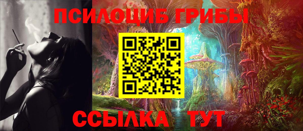 Псилоцибиновые грибы мицелий Выкса