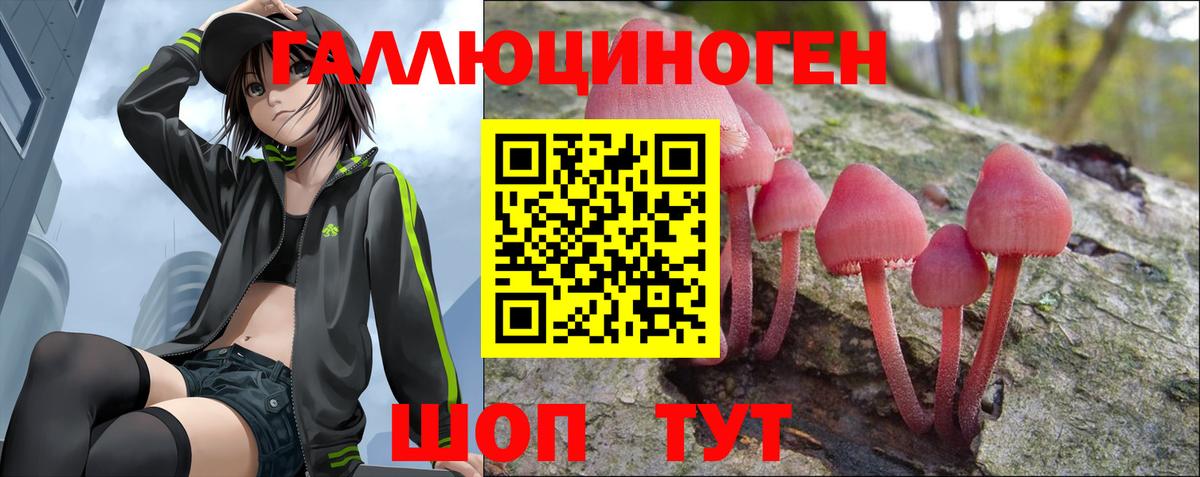 Псилоцибиновые грибы прущие грибы  Псилоцибиновые грибы Psilocybine cubensis  Выкса  Вход с VPN 